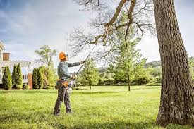 Mulching Services in Middlebush, NJ