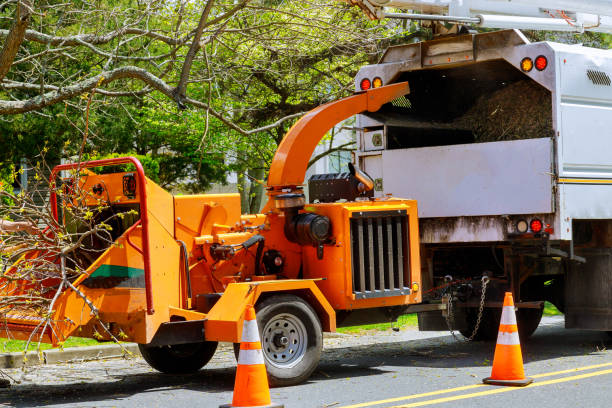 Best Mulching Services  in Middlebush, NJ