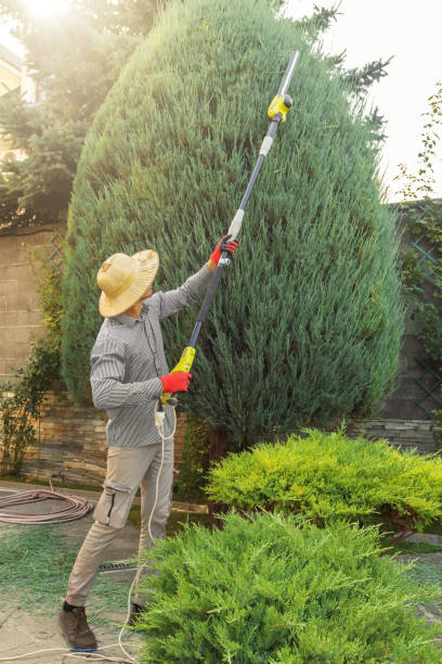 Best Lawn Grading and Leveling  in Middlebush, NJ